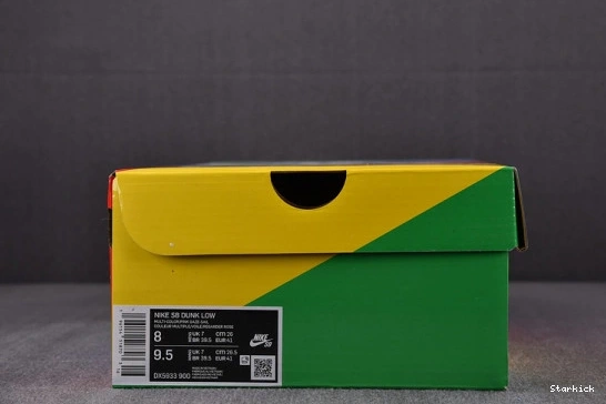 SB Schipani Xavier Be Pro Dunk Nike True DX5933-900 Low 1221